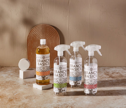Cleaning Essentials Kit
