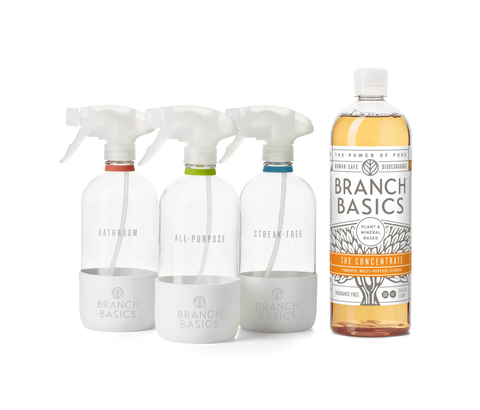 Cleaning Essentials Kit