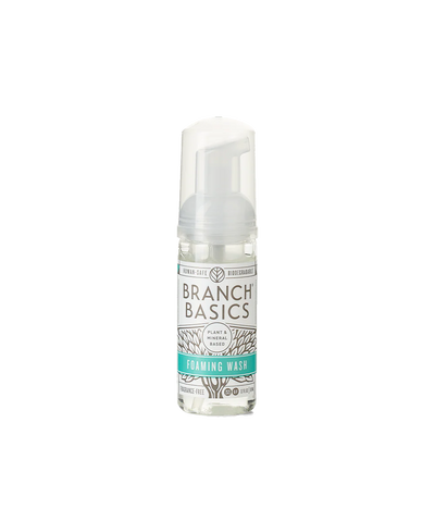 Mini Foaming Wash